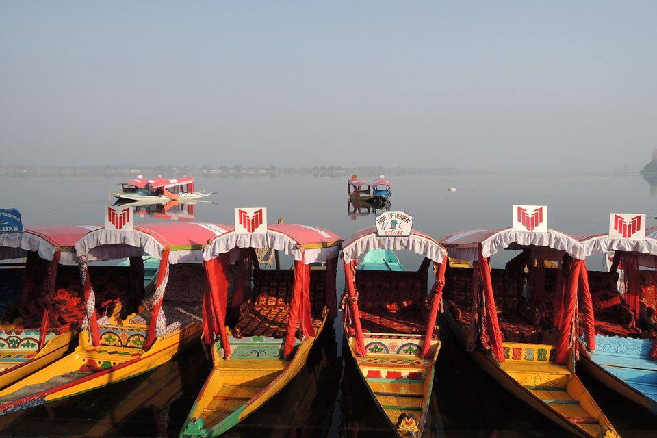 Painted shikara boats moored on Dal Lake, Srinagar