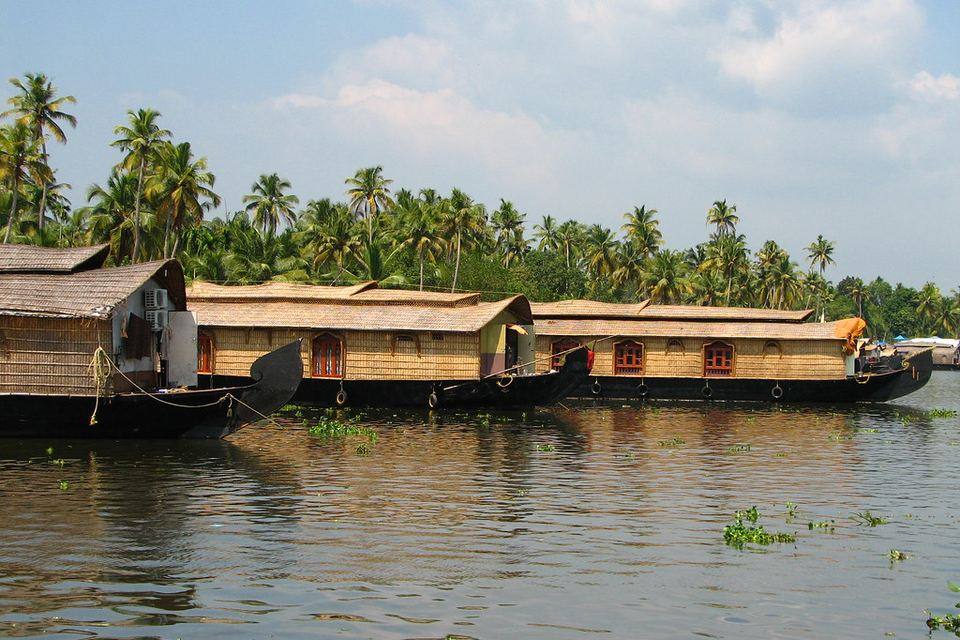 A Kerala houseboat moored under coconut palms on the Alleppey backwaters